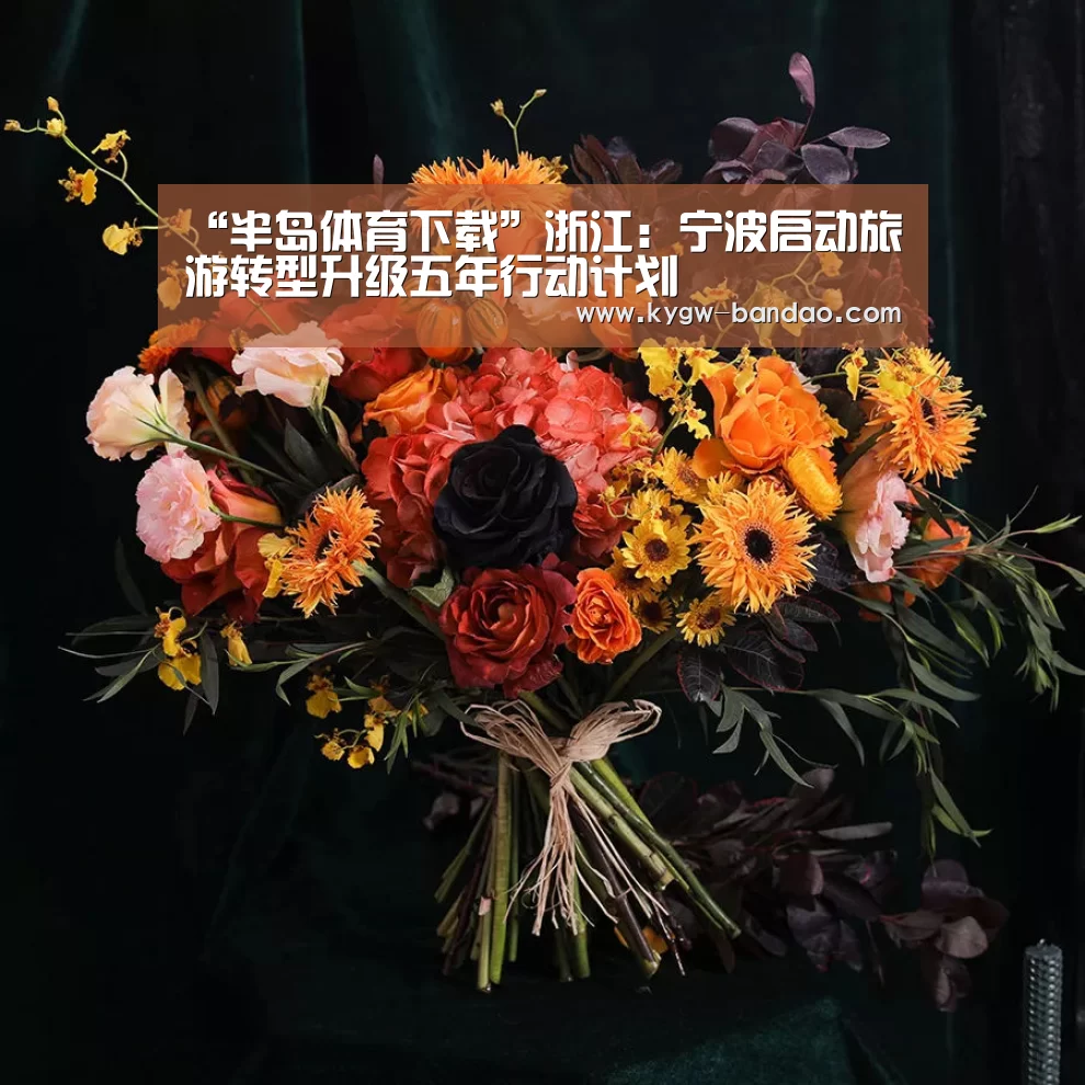 “半岛体育下载”浙江:宁波启动旅游转型升级五年行动计划(图4) 半岛体育体育网
