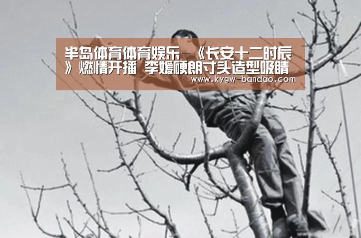半岛体育体育娱乐-《长安十二时辰》燃情开播 李媛硬朗寸头造型吸睛MAX