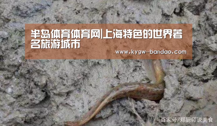 半岛体育体育网|上海特色的世界著名旅游城市