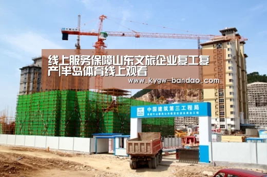 线上服务保障山东文旅企业复工复产|半岛体育线上观看