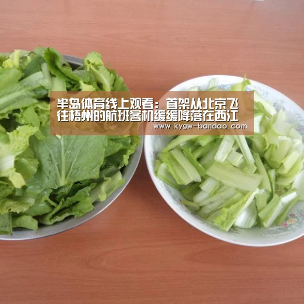 半岛体育线上观看：首架从北京飞往梧州的航班客机缓缓降落在西江机场